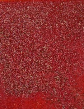 Coyote Coyote Volcanic Lair 232 Pint