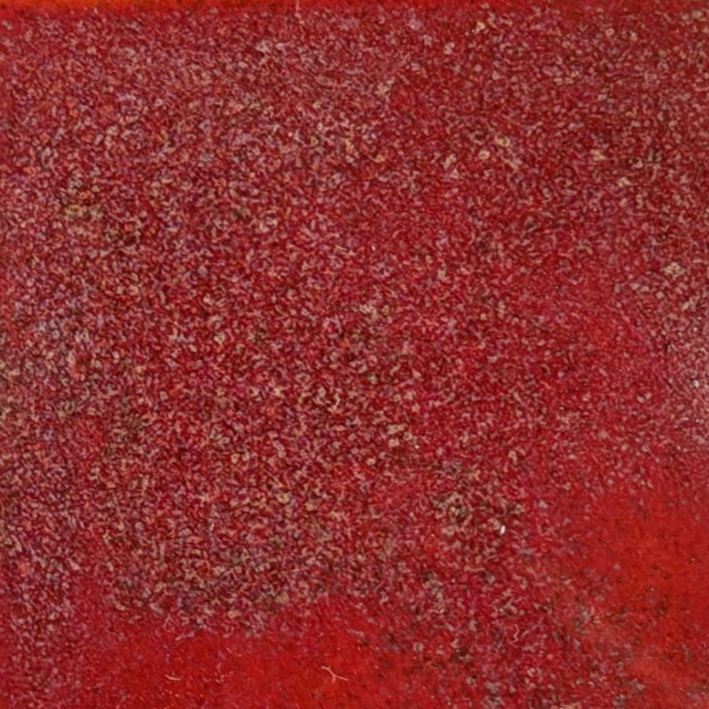 Coyote Coyote Volcanic Lair 232 Pint