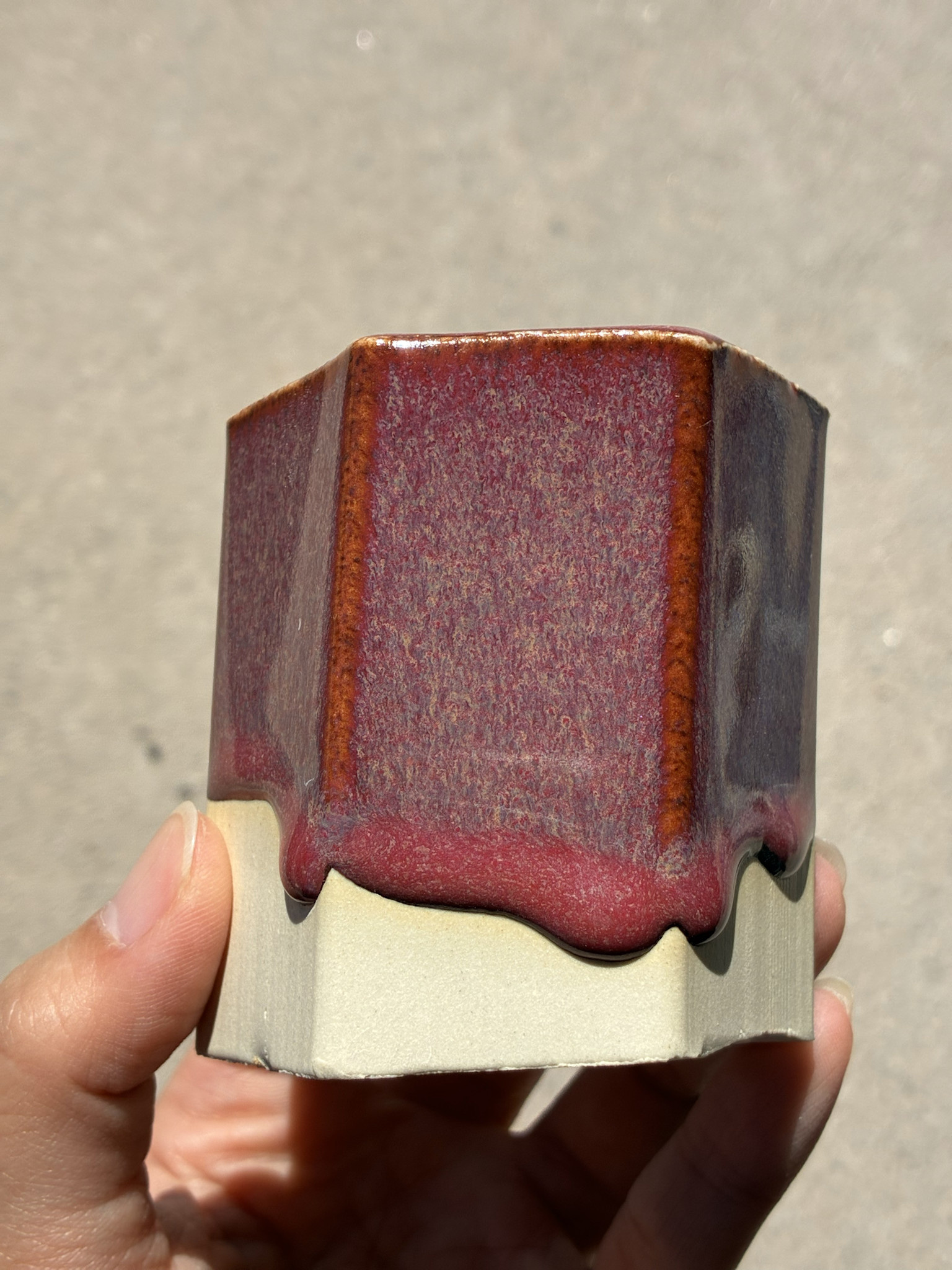 Coyote Coyote Volcanic Lair 232 Pint