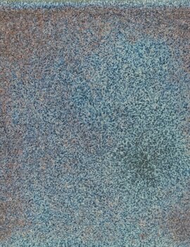 Coyote Coyote Direwolf 223 Pint