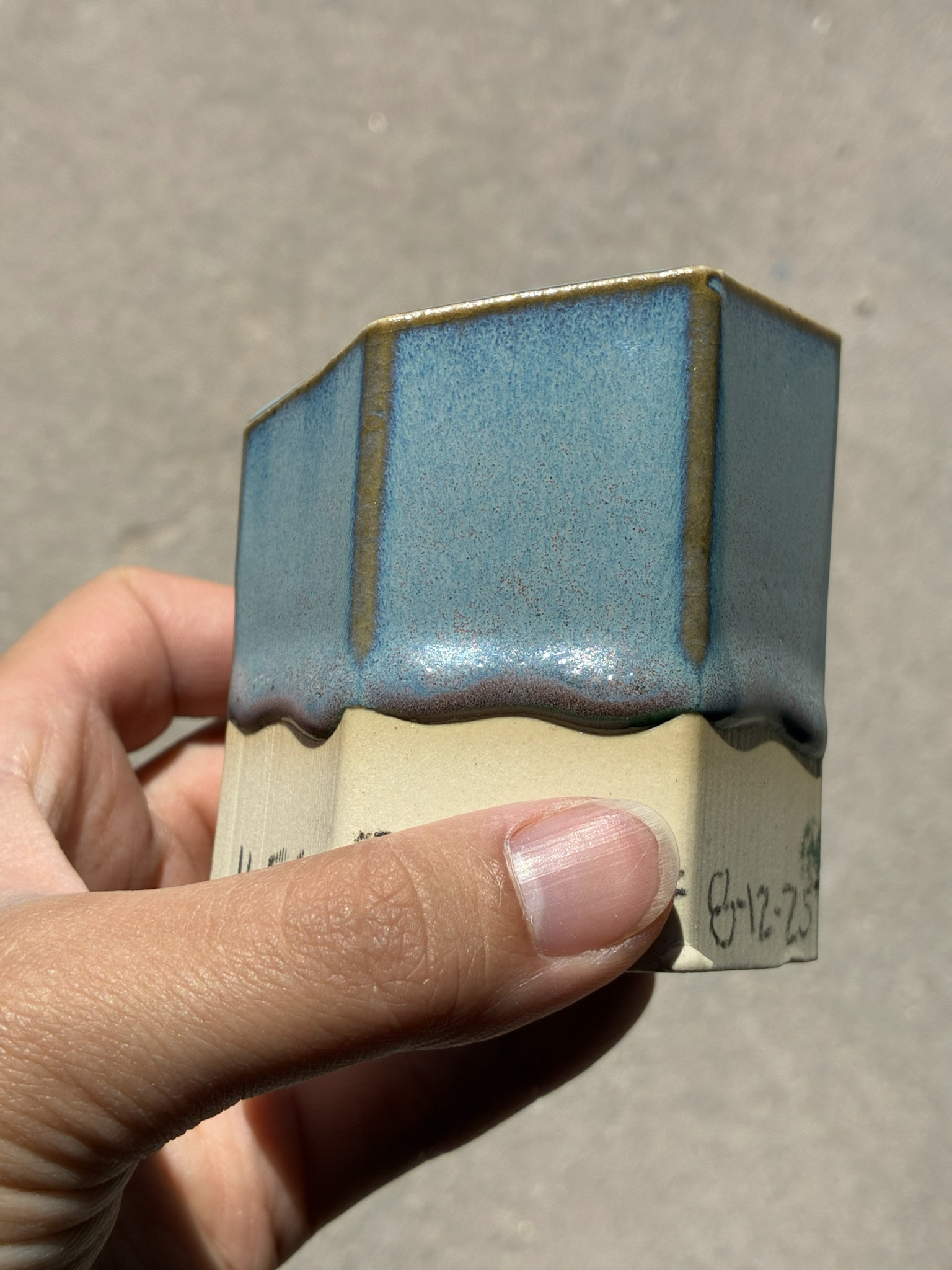 Coyote Coyote Direwolf 223 Pint