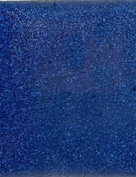 Coyote Coyote Lazurite 227 Pint