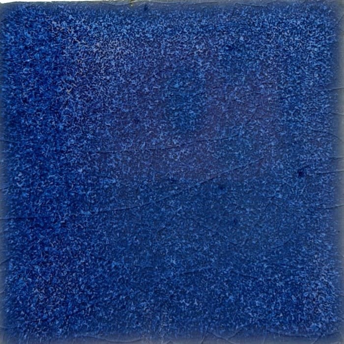 Coyote Coyote Lazurite 227 Pint