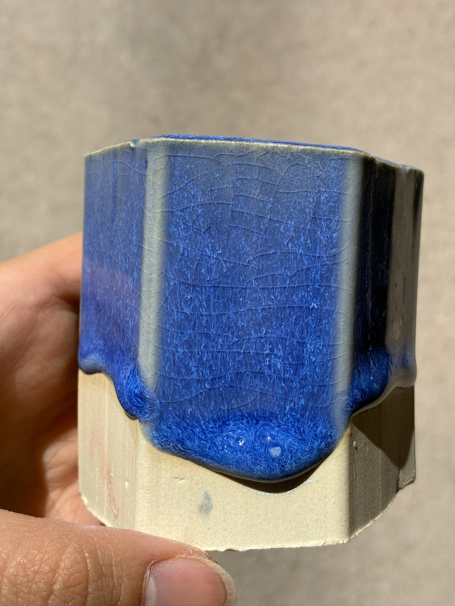 Coyote Coyote Lazurite 227 Pint