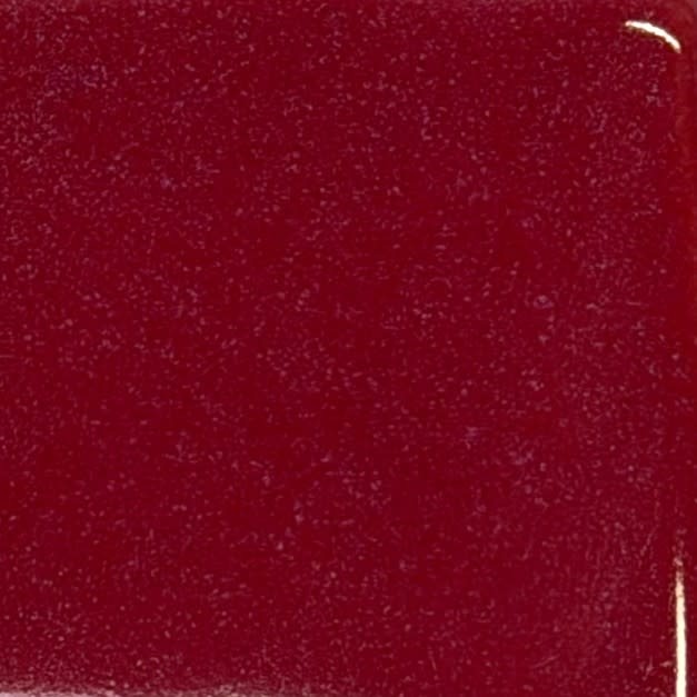 Coyote Coyote Ruby Mist 231 Pint