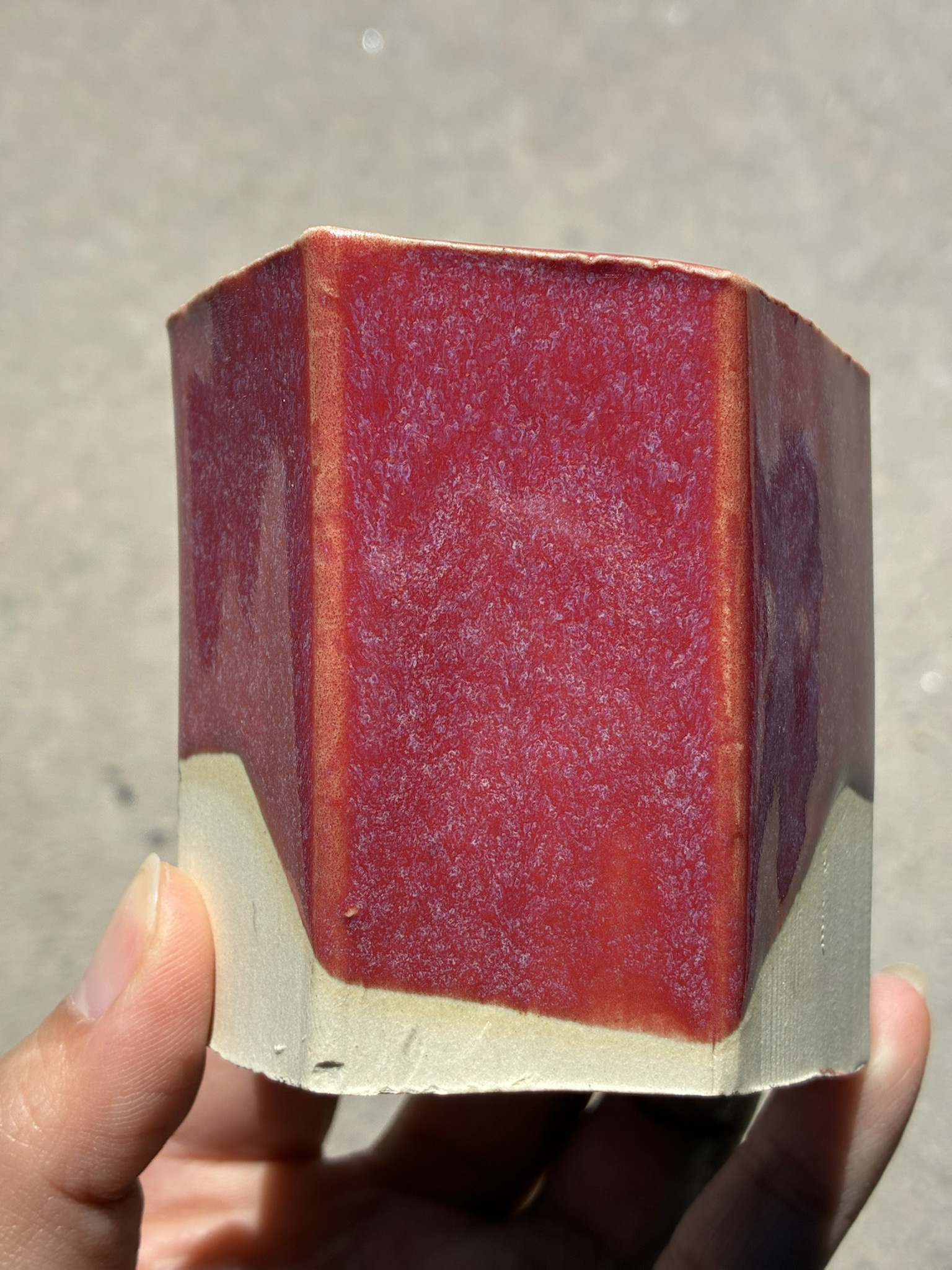 Coyote Coyote Ruby Mist 231 Pint