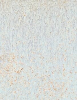 Coyote Coyote Star Dust 222 Pint