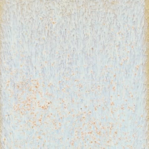 Coyote Coyote Star Dust 222 Pint