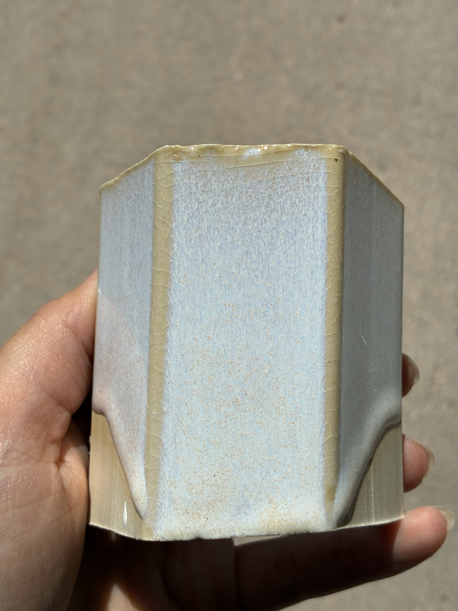 Coyote Coyote Star Dust 222 Pint