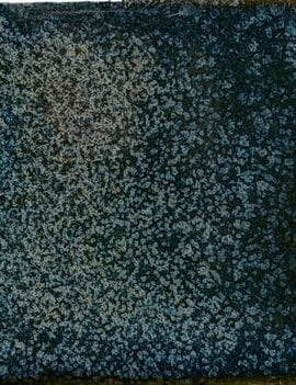 Coyote Coyote Smokey Pearl 233 Pint