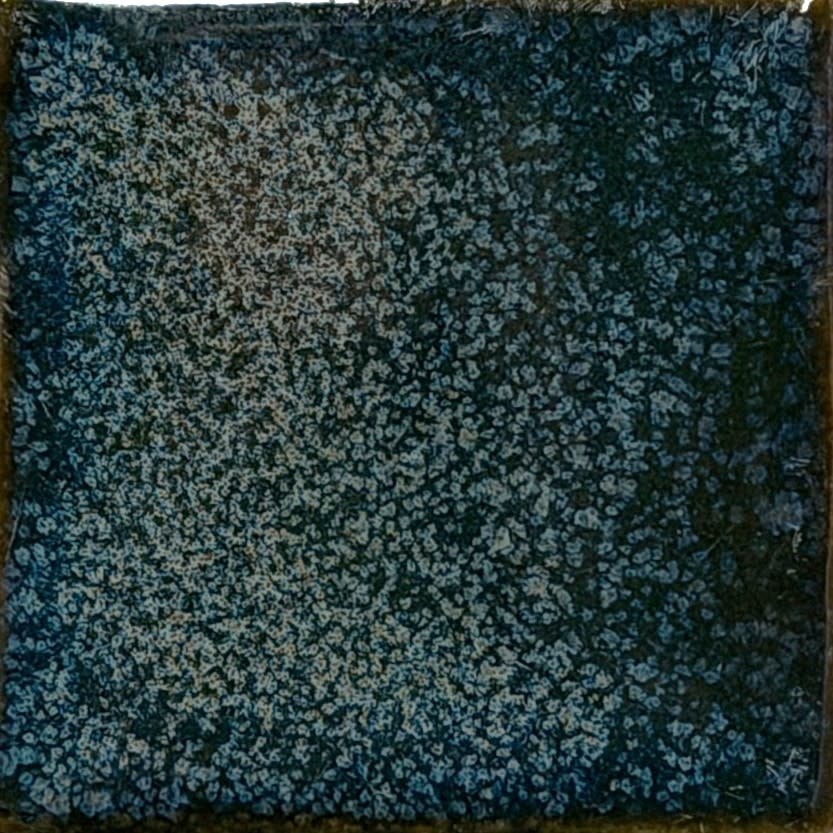 Coyote Coyote Smokey Pearl 233 Pint