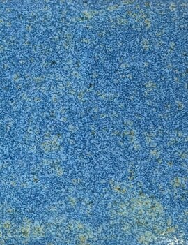 Coyote Coyote Moonstone 226 Pint