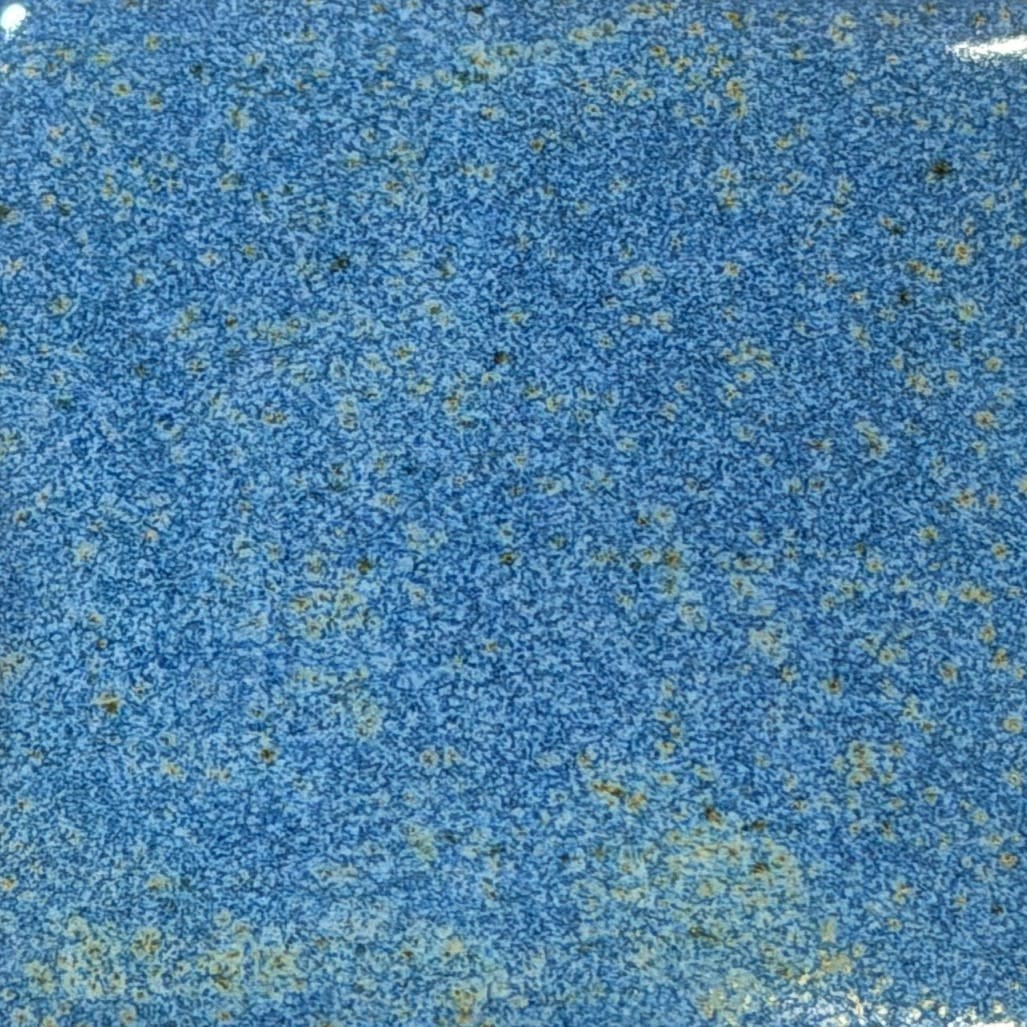 Coyote Coyote Moonstone 226 Pint