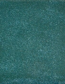 Coyote Coyote Veridian Forest 228 Pint