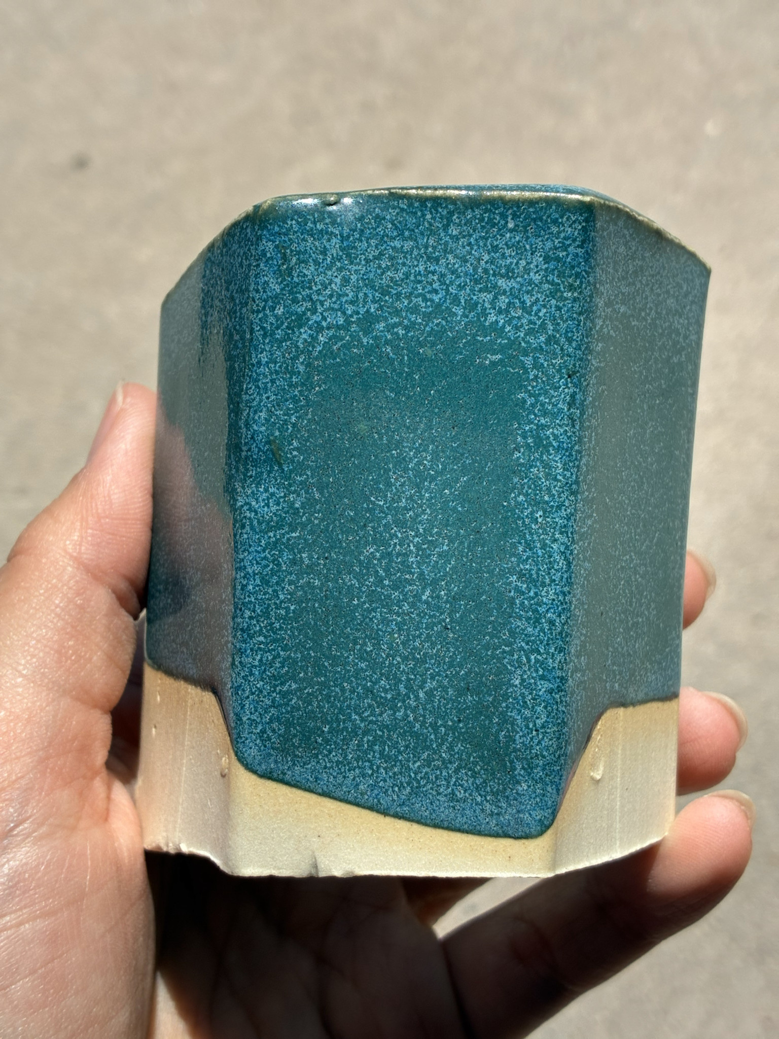 Coyote Coyote Veridian Forest 228 Pint