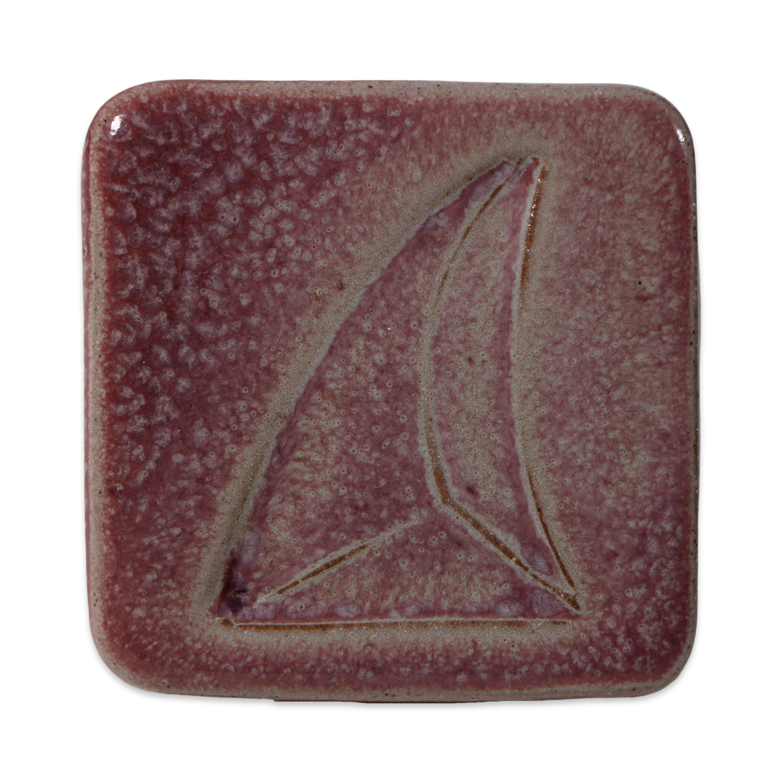 Tucker's 6102T Comet Dust Current 1kg Dry