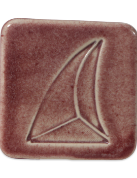 Tucker's 6102T Comet Dust Current 1kg Dry