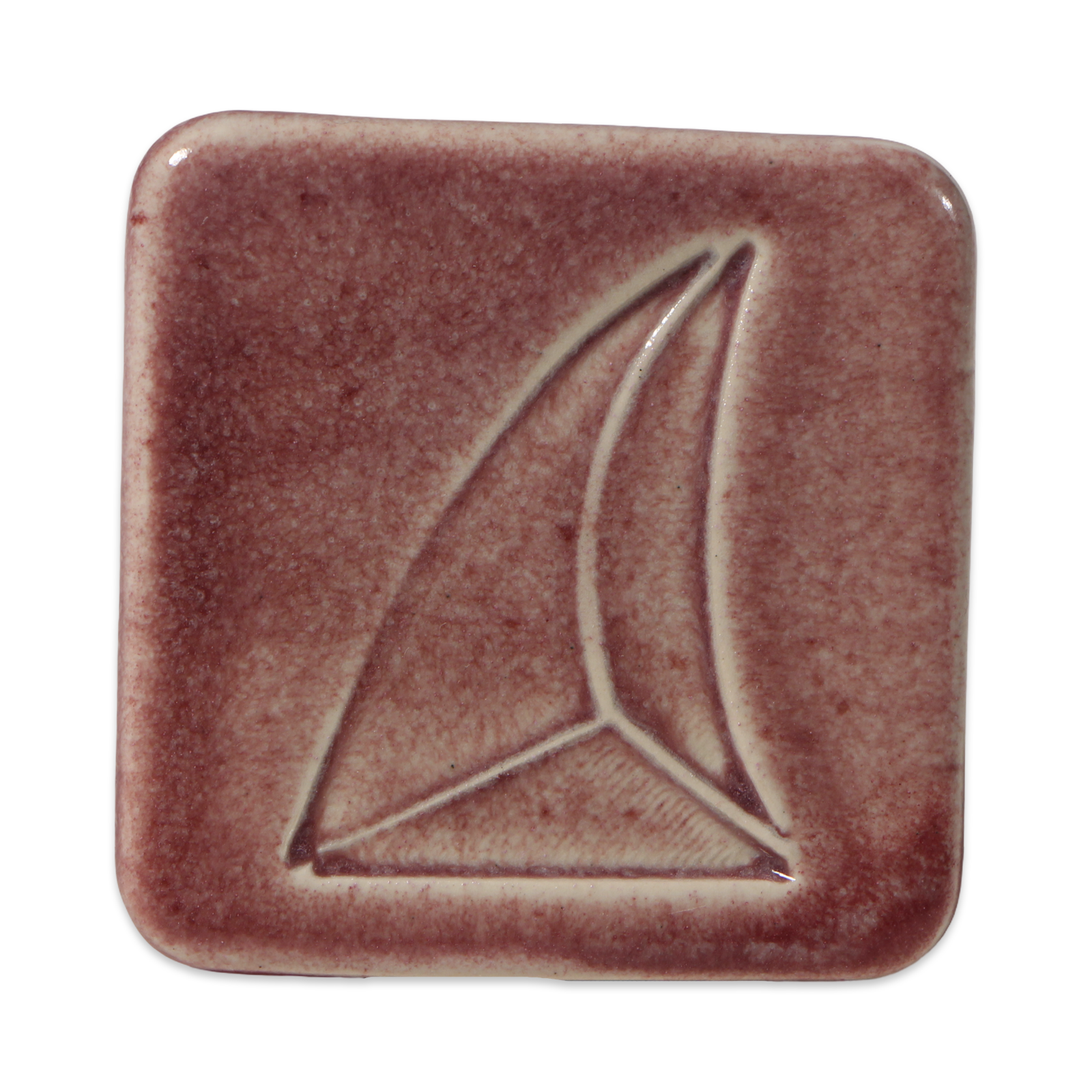 Tucker's 6102T Comet Dust Current 1kg Dry