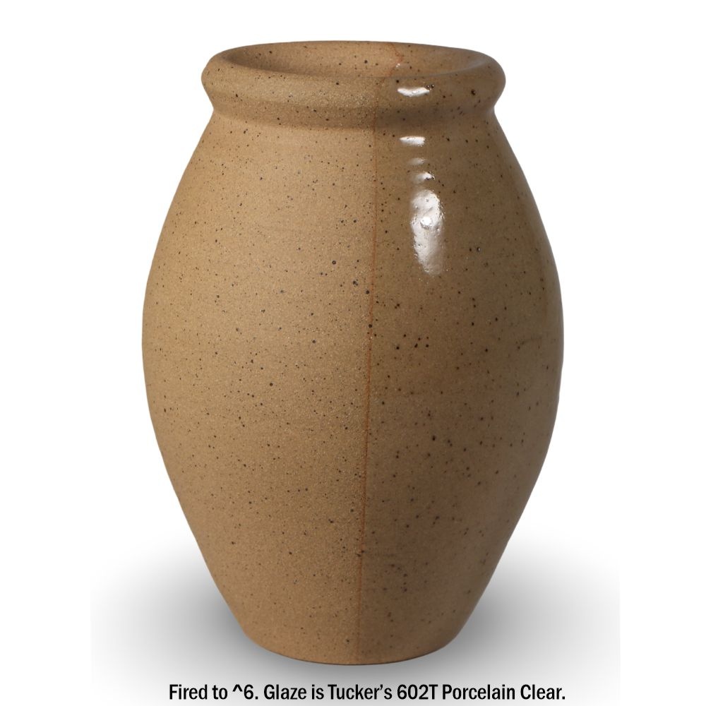 Tucker's Clay CCS Speckled Clay Cone 6 Stoneware