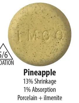 Industrial Minerals Pineapple Cone 5/6 Porcelain Clay 20lb Bag