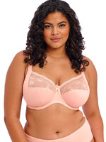 Elomi Morgan Pink Floral