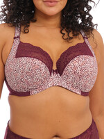 Elomi Lucie Plunge Bra - Wild Thing