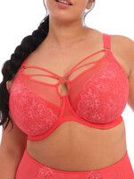 Elomi Brianna Plunge Bra - Cayenne