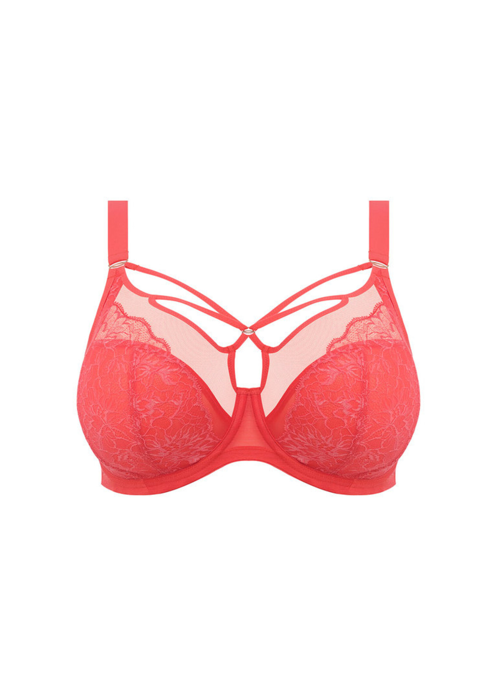 Elomi Brianna Plunge Bra - Cayenne