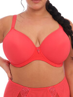 Elomi Bijou Moulded Bra - Cayenne