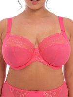 Elomi Charley Plunge Bra - Honeysuckle