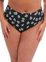 Elomi Plain Sailing Bikini Brief - Black Daisy