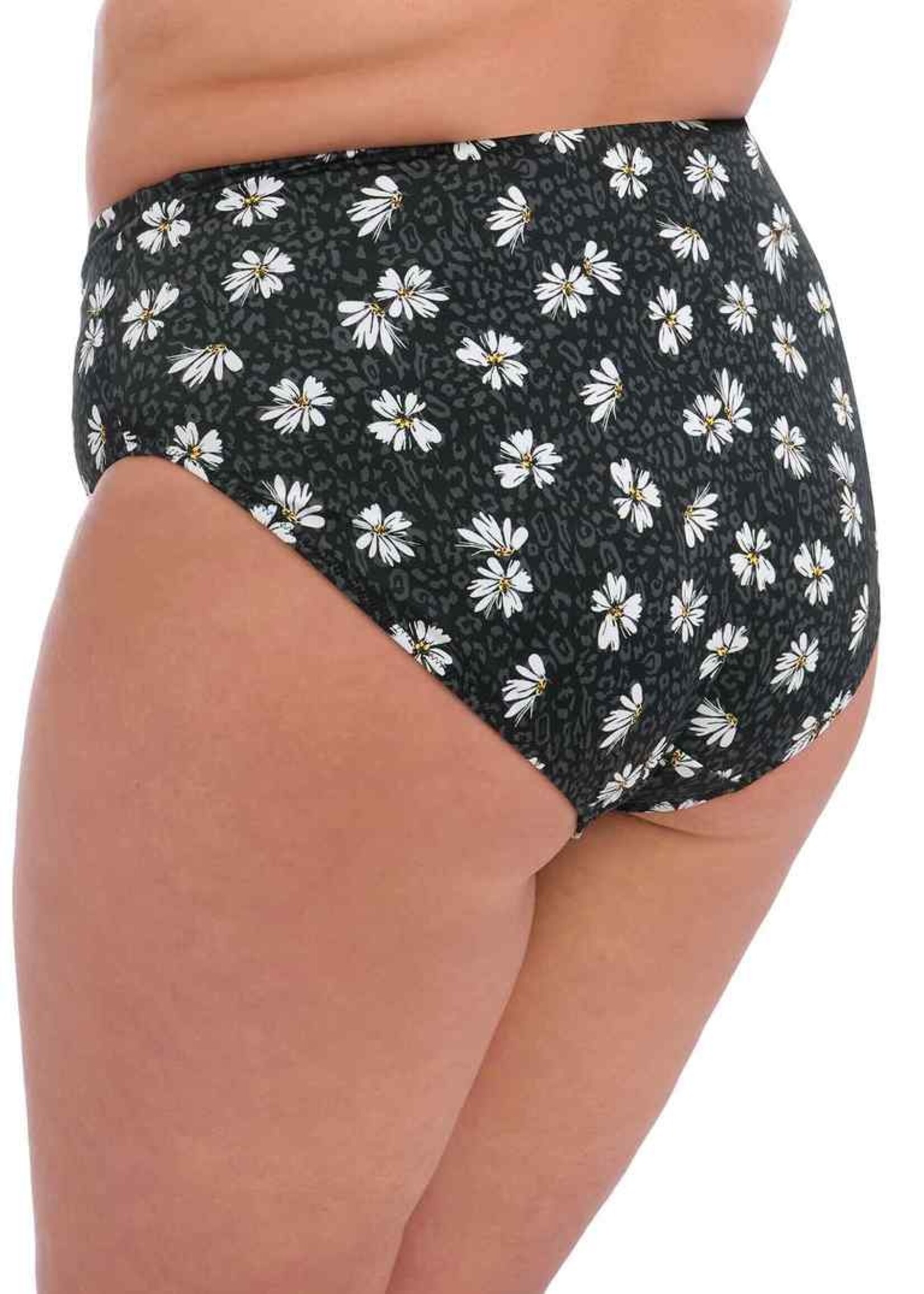 Elomi Plain Sailing Bikini Brief - Black Daisy