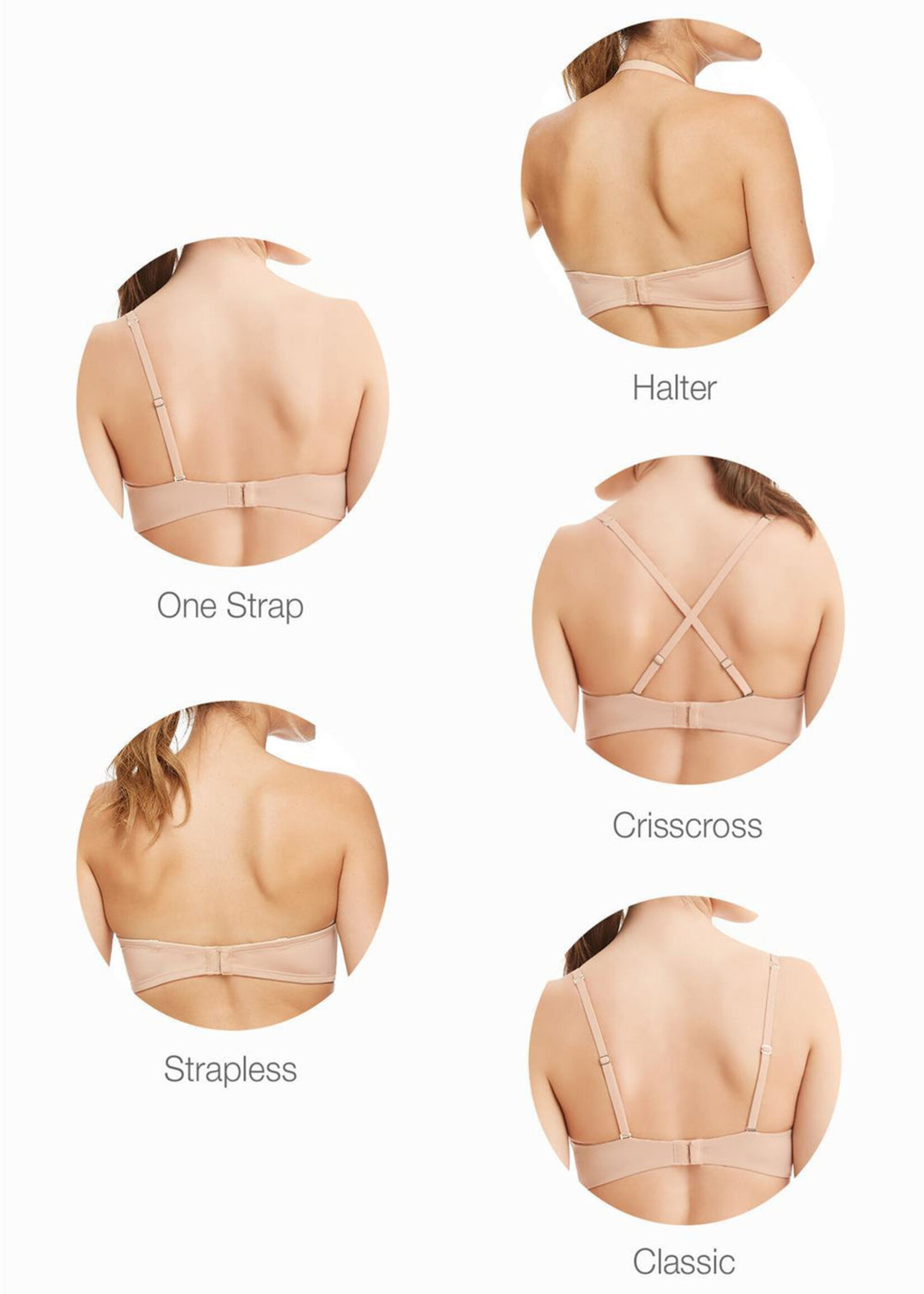 Montelle Prodigy Ultimate Push-Up Bra