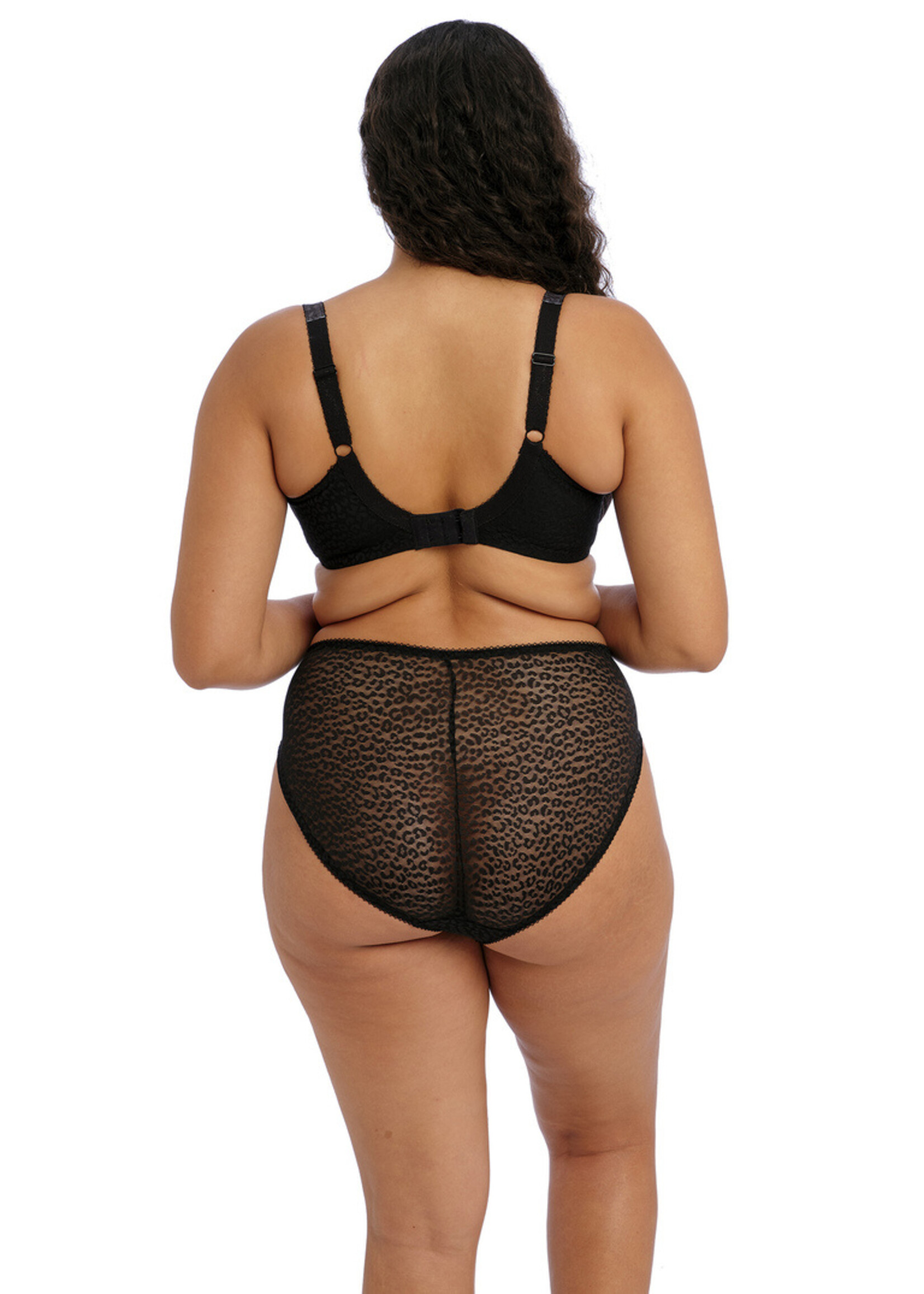Elomi Lucie UW Plunge Bra