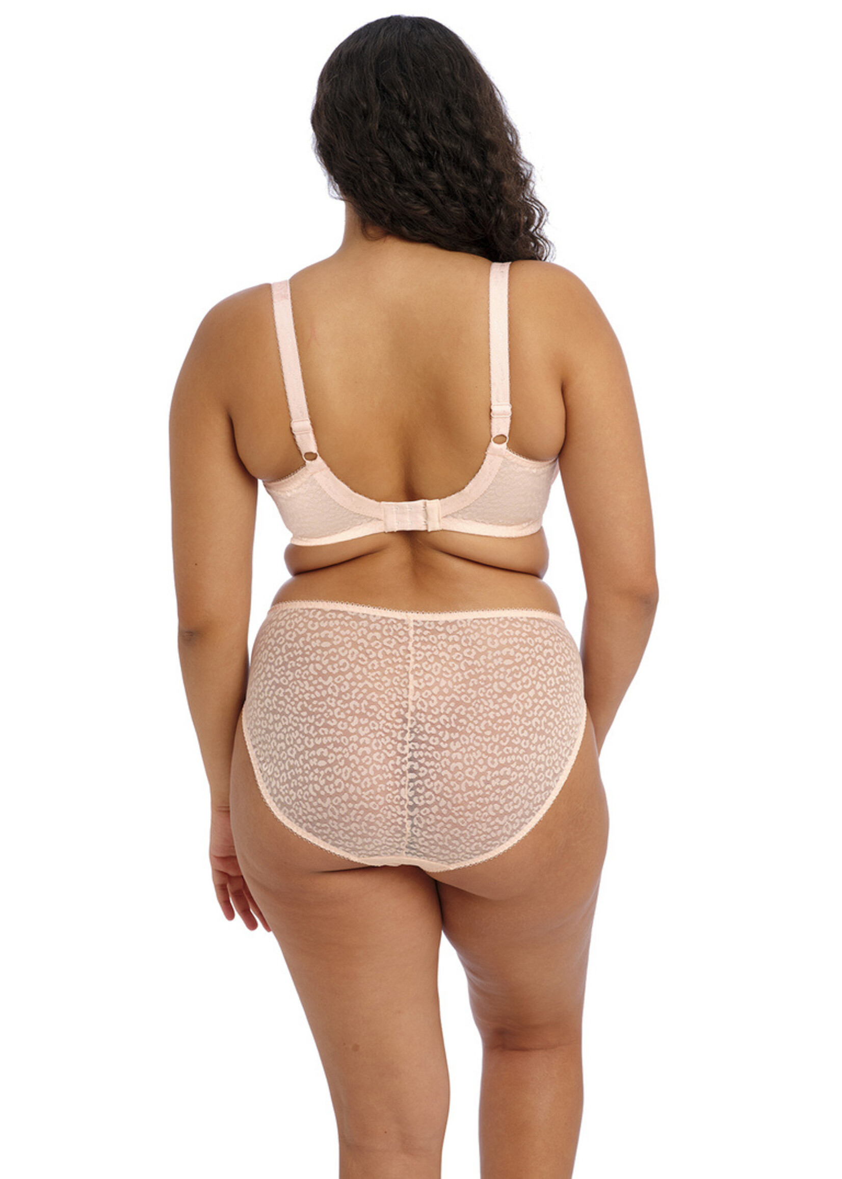 Elomi Lucie UW Plunge Bra