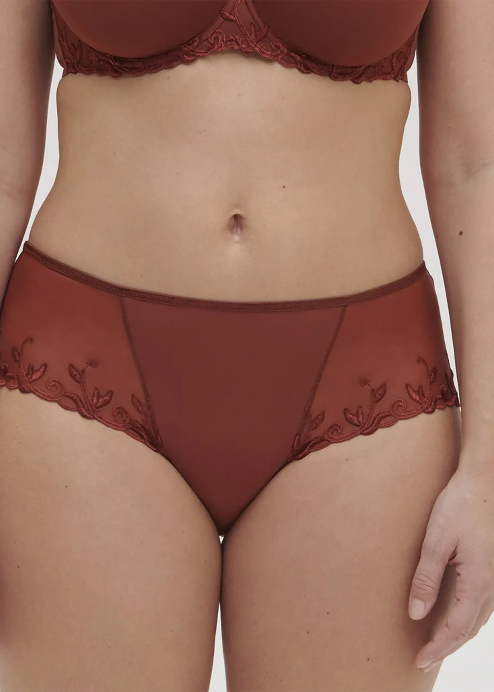 Simone Perele Andora Brun Canyon Boyshort Panty