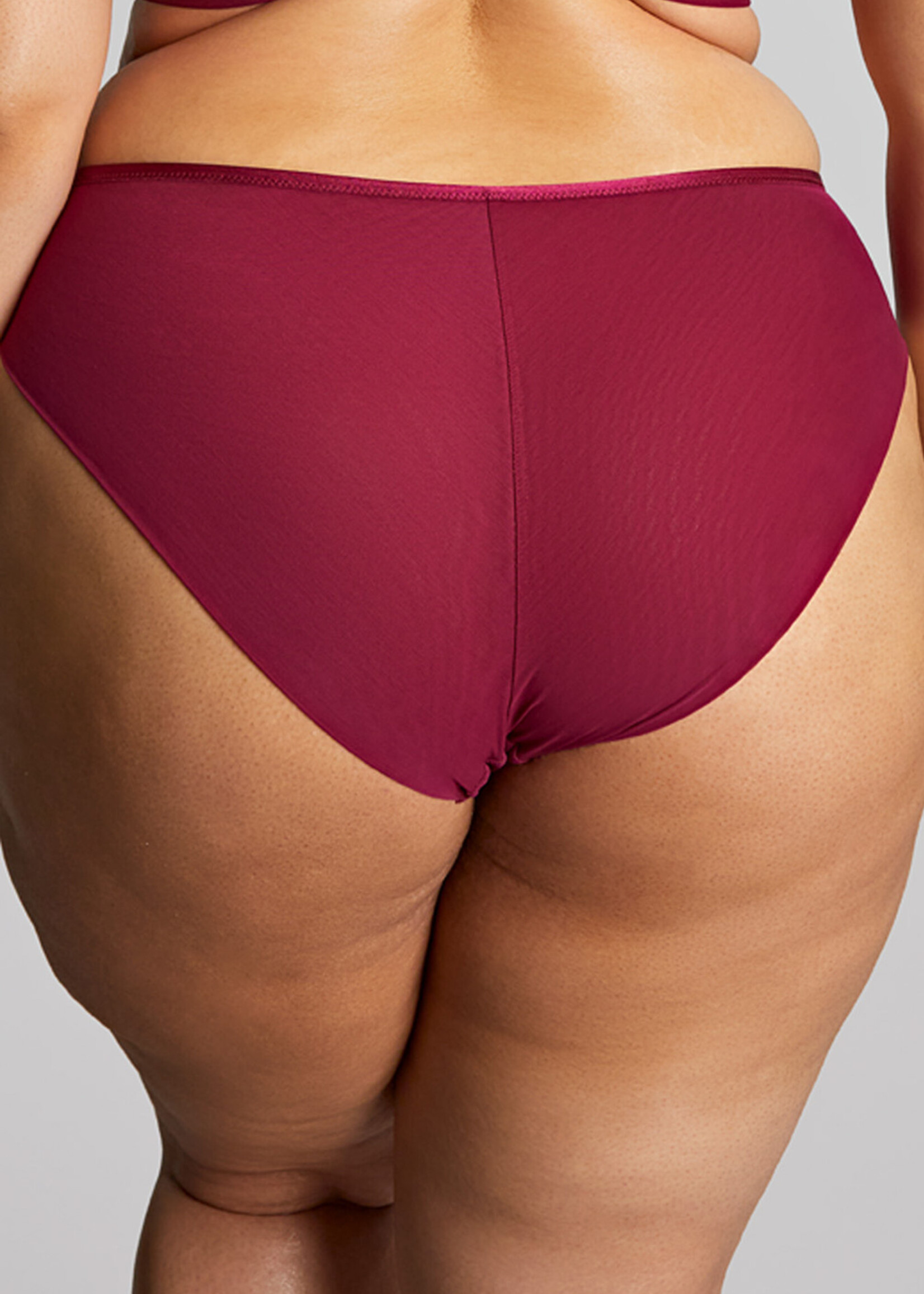 Panache Natalia High Leg Brief