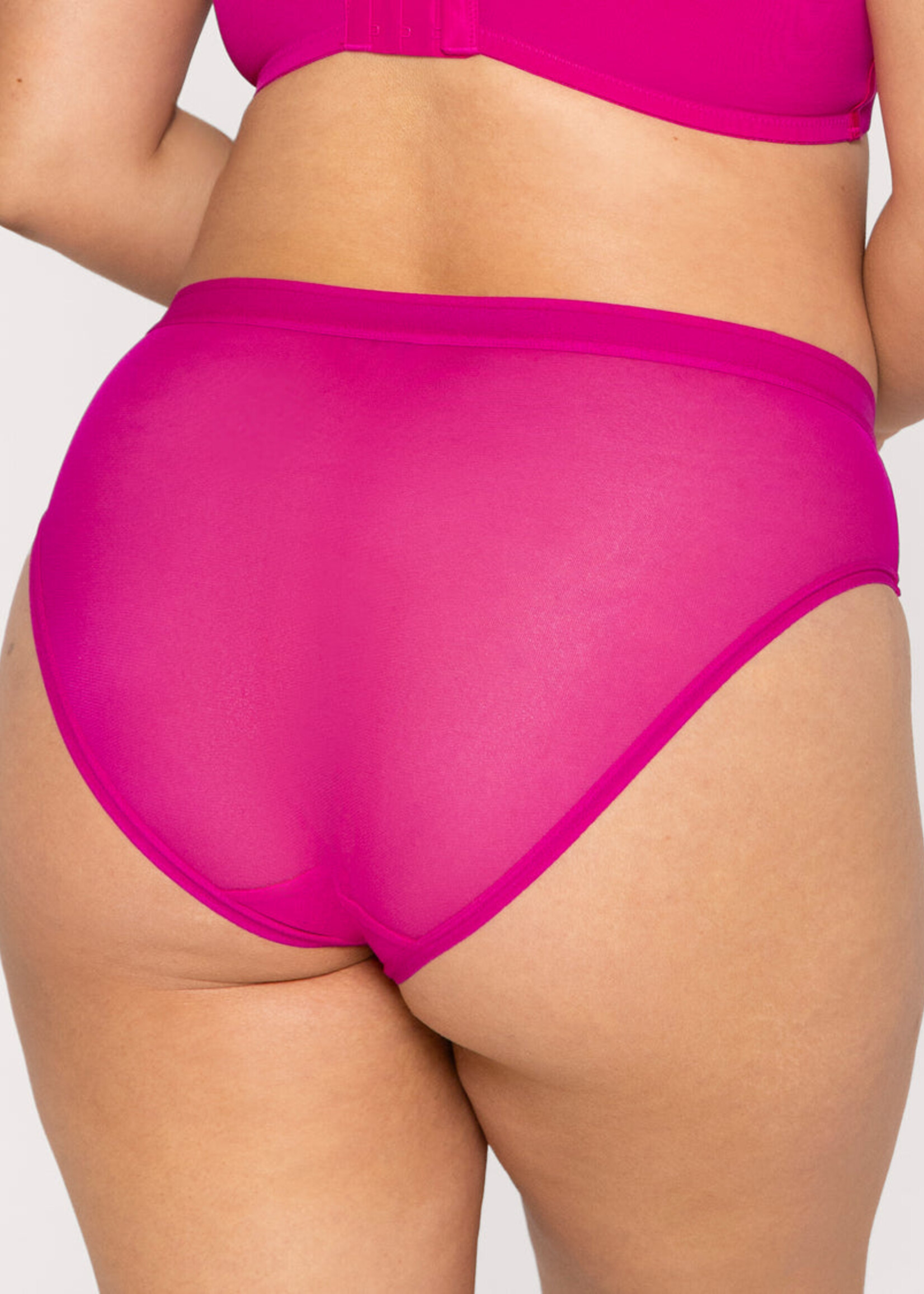 Curvy Couture Sheer Mesh High Cut Panty
