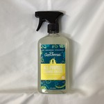 Frasier Fir All-Purpose Cleaning Concentrate