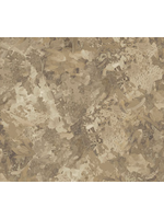 Northcott Chroma- Flax-