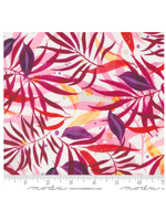 Moda Coming Up Roses -  Rose