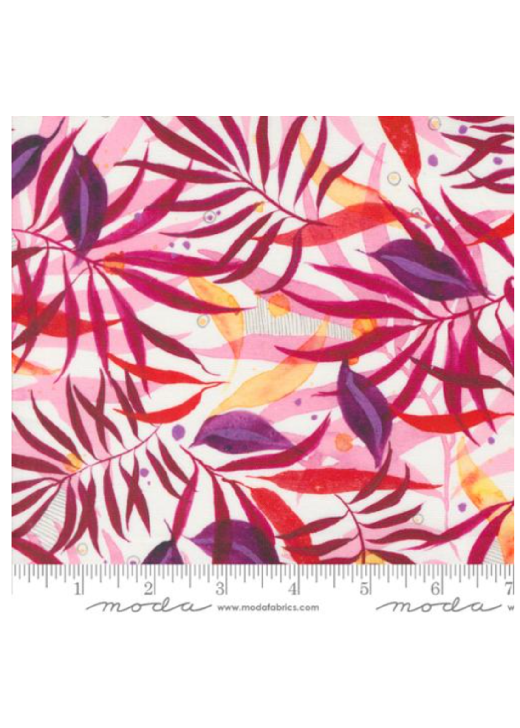 Moda Coming Up Roses -  Rose