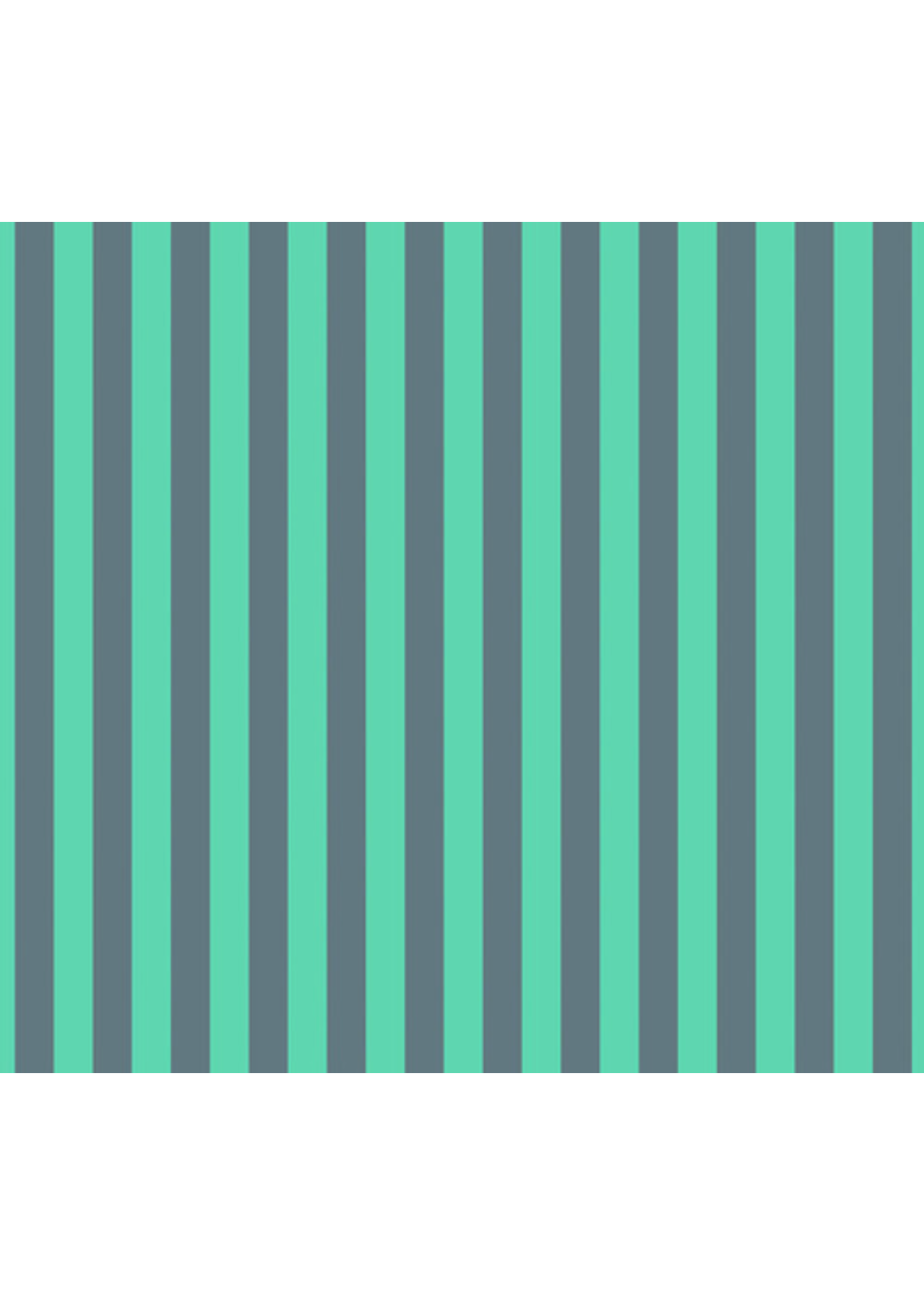Tula Pink Tula Pink- Neon Tent Stripe- Spirit-Per 1/2 meter