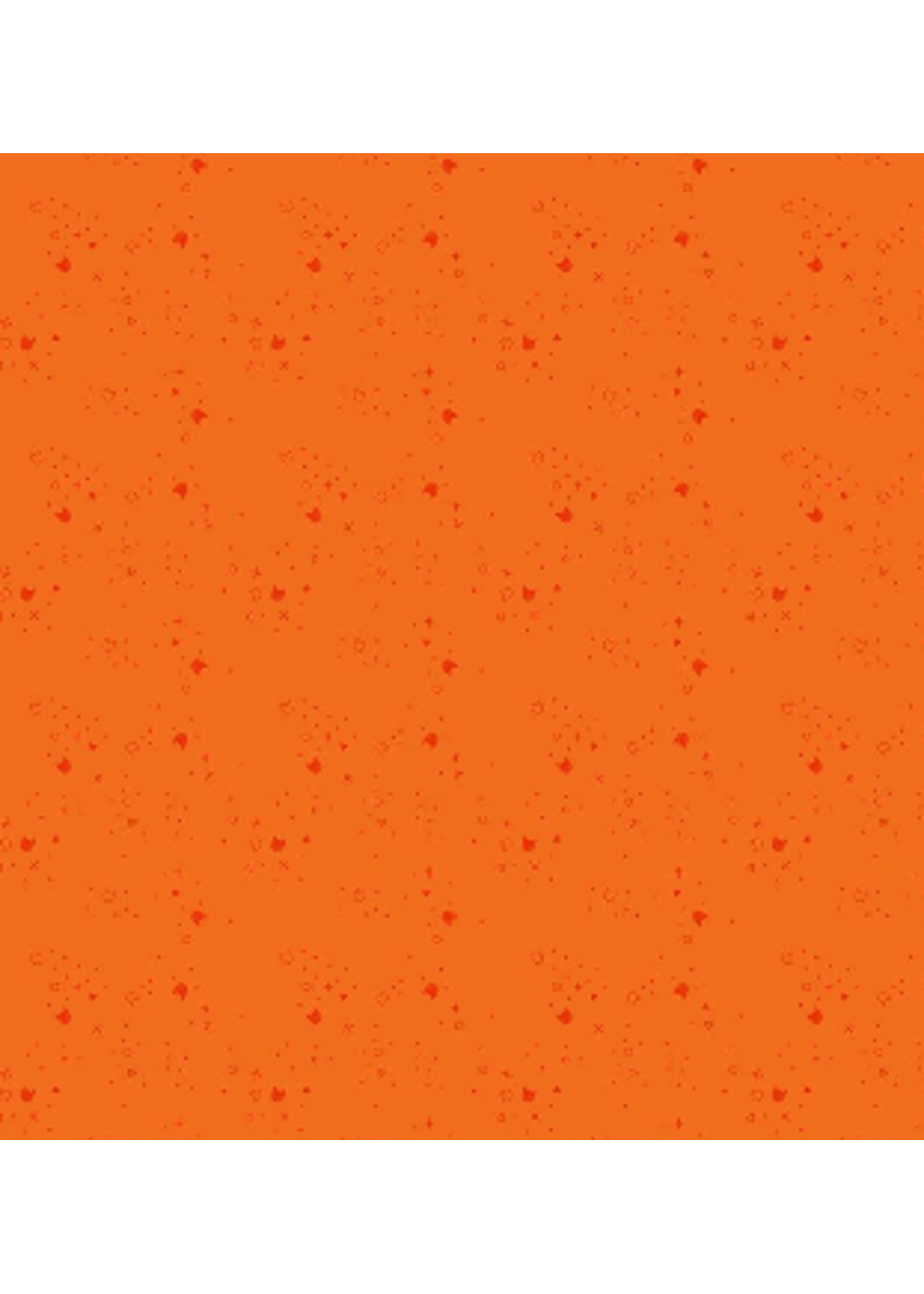 Dear Stella Kitty Litter Blender- Tangering