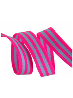 Tula Pink Tula Pink - Striped Webbing - Aqua-Hot Pink - Renaissance Ribbons - 1in wide - 2yrd