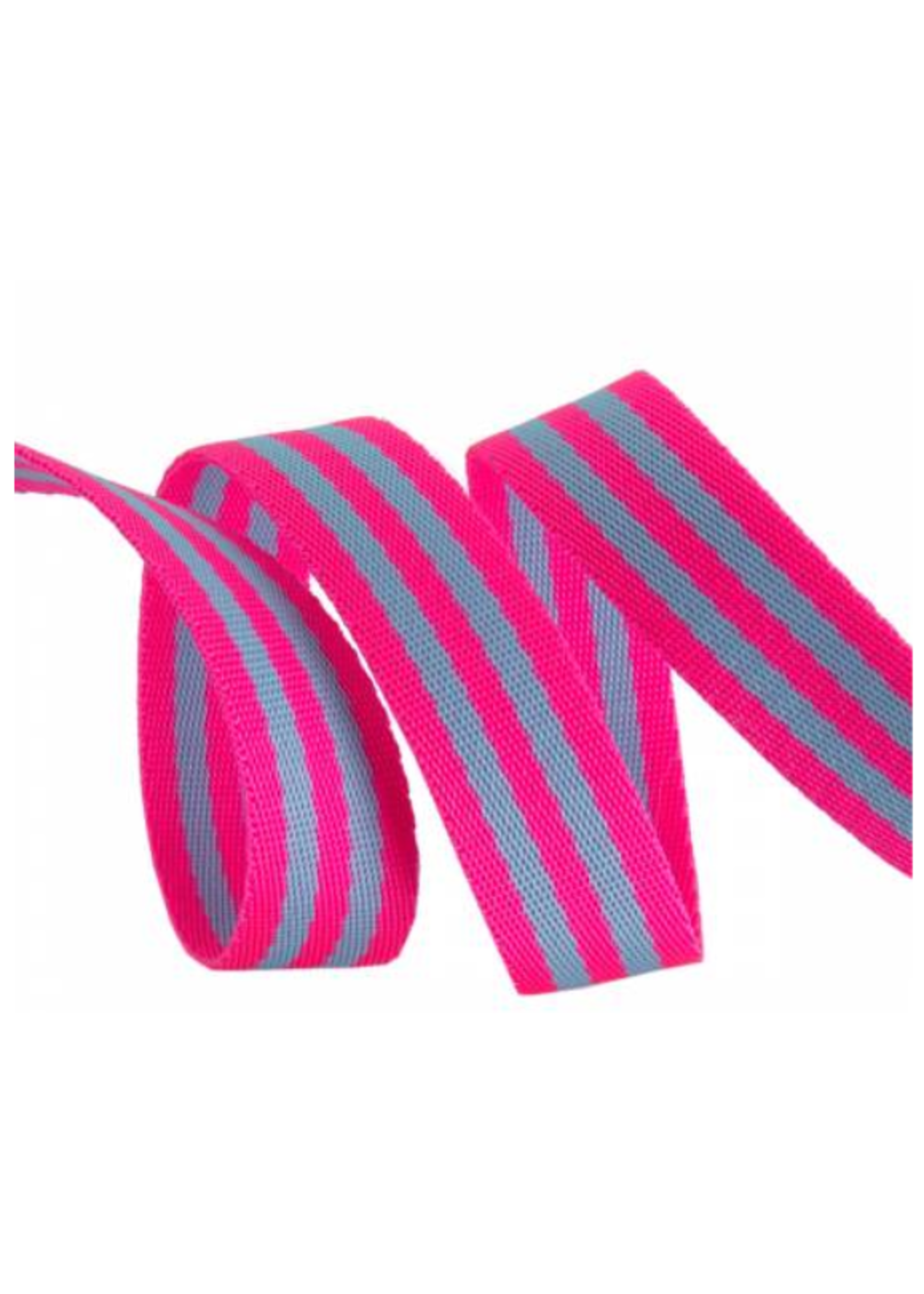 Tula Pink Tula Pink - Striped Webbing - Aqua-Hot Pink - Renaissance Ribbons - 1in wide - 2yrd