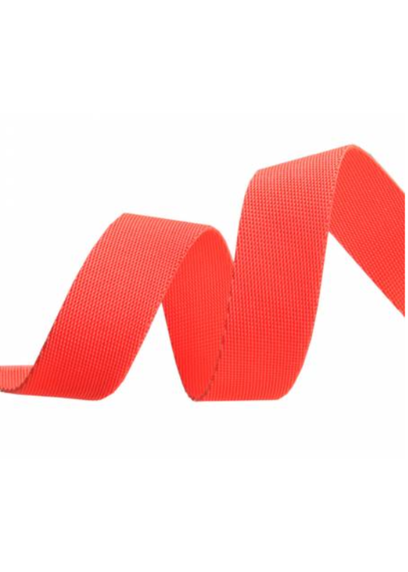 Tula Pink Tula Pink - Everglow Neon Webbing - Lunar - Renaissance Ribbons - 1in wide - 2yrd