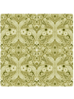 Dear Stella PHOEBE THE FEMINIST THYME