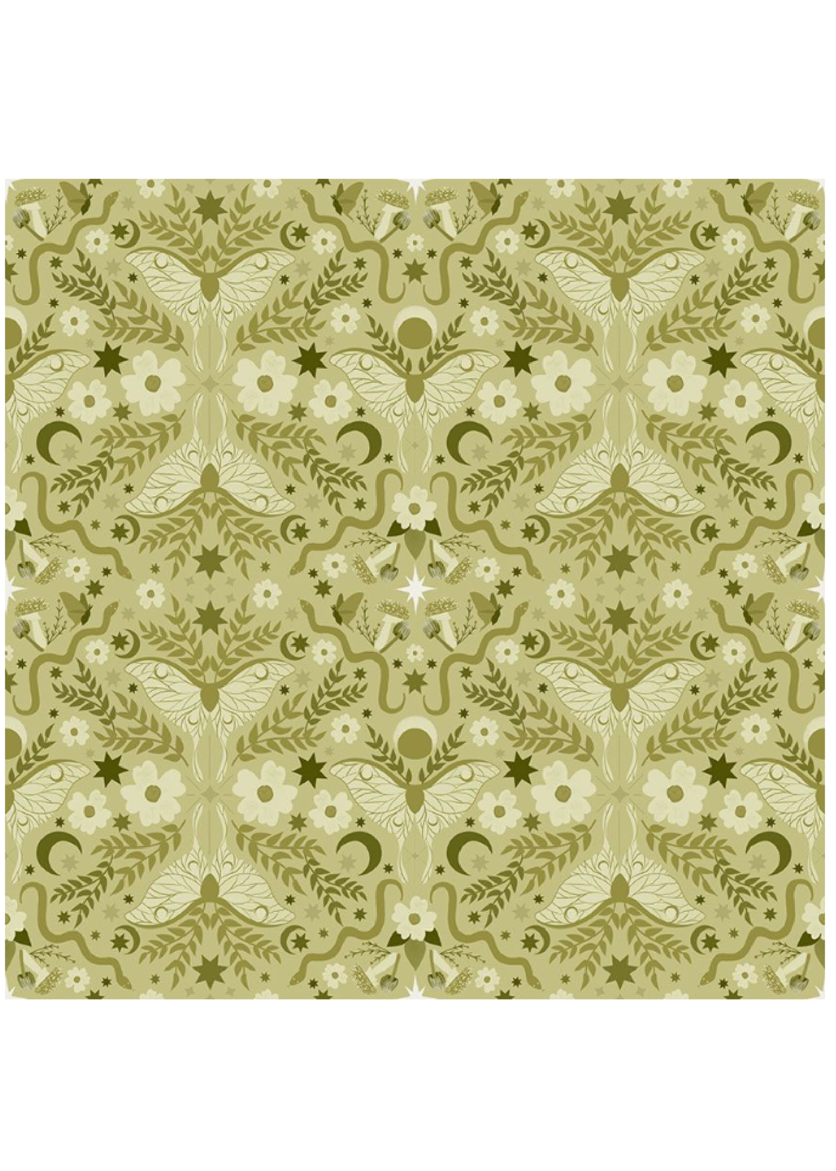 Dear Stella PHOEBE THE FEMINIST THYME