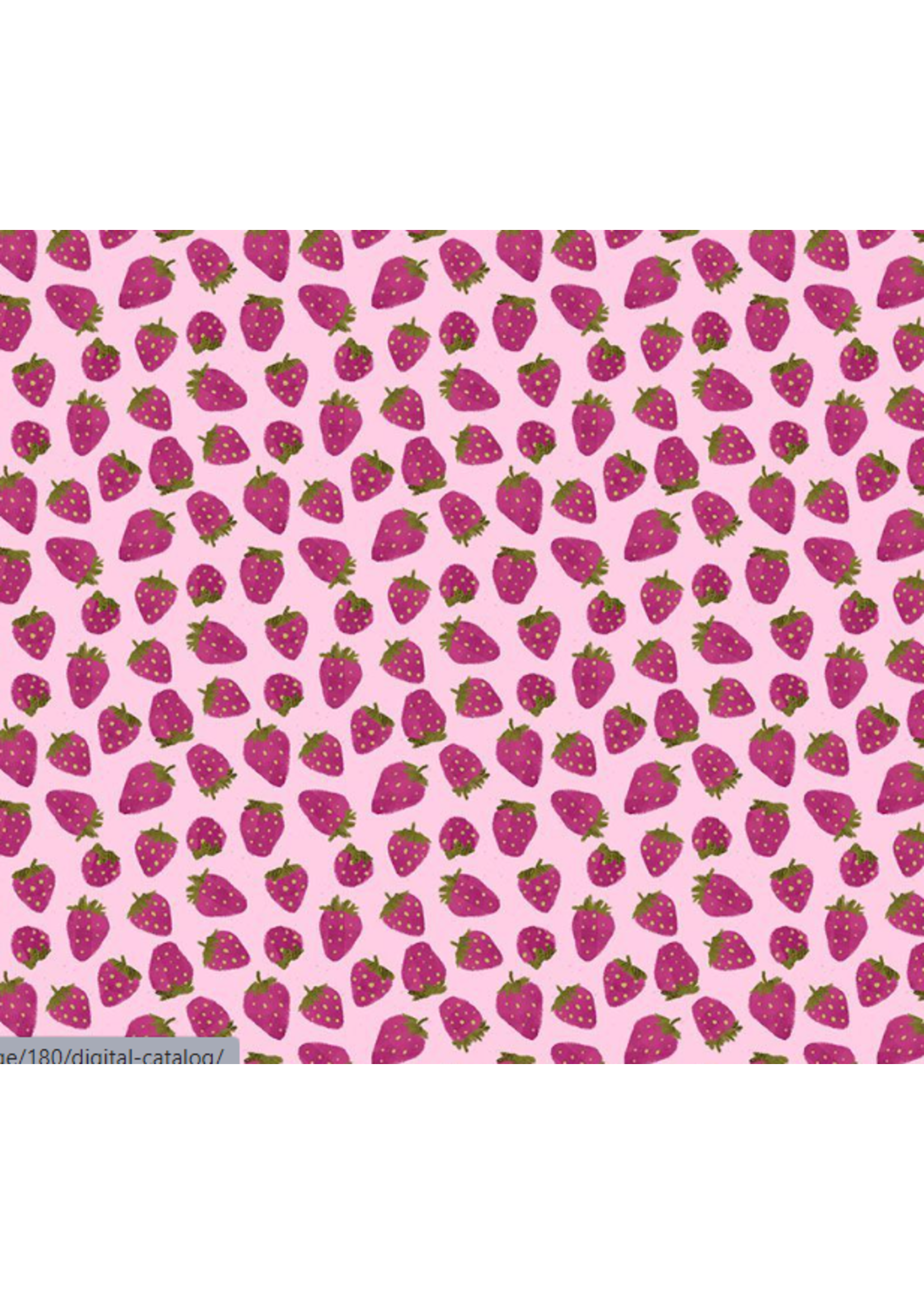 Dear Stella LAZY SUNDAY SNACK ATTACK  1 Unit = 10cm = 4 inches